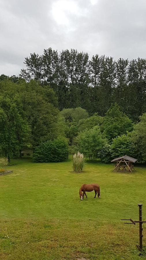 Chambres d'Hôtes la Baudrière Livaie Esterno foto