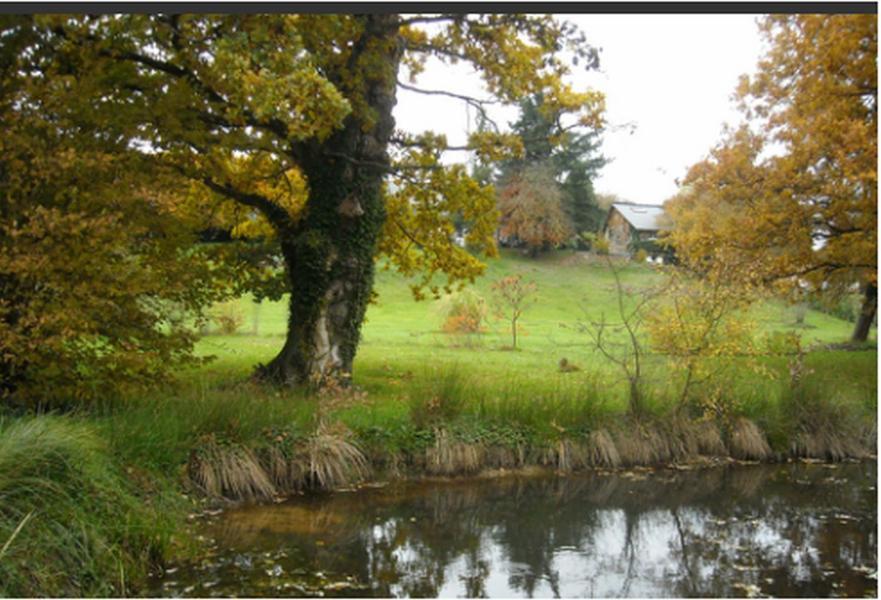 Chambres d'Hôtes la Baudrière Livaie Esterno foto